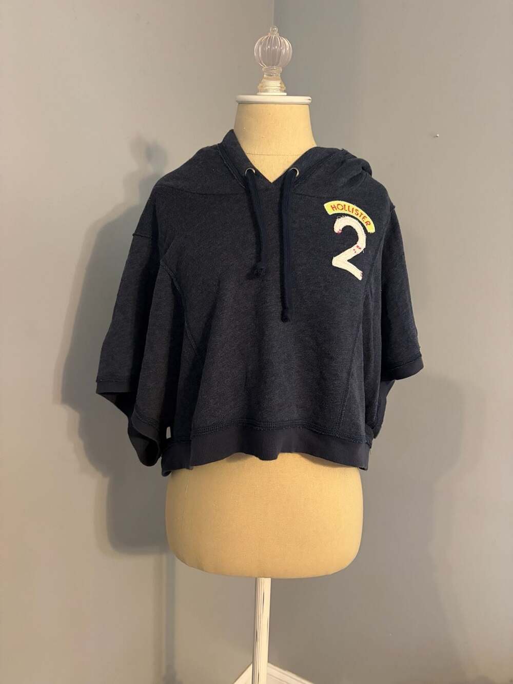 Y2K 2000’s Hollister Short Sleeve Cropped Hoodie Size L Blue
